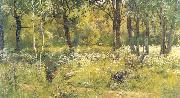 Ivan Shishkin Grassy Glades of the Forest oil painting reproduction